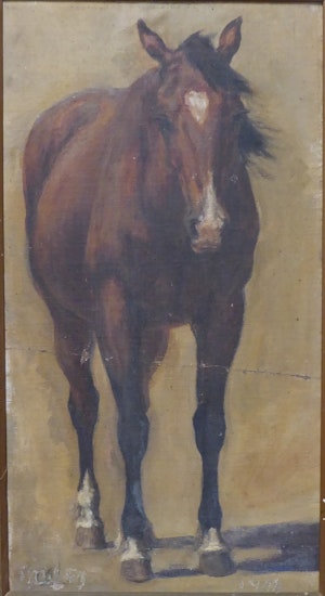Untitled [Brown Horse] image