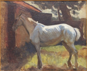 Untitled [The White Horse] image