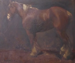 Untitled [Draught Horse] image